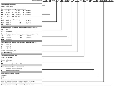 82758-21: Термоманометры Автон А835